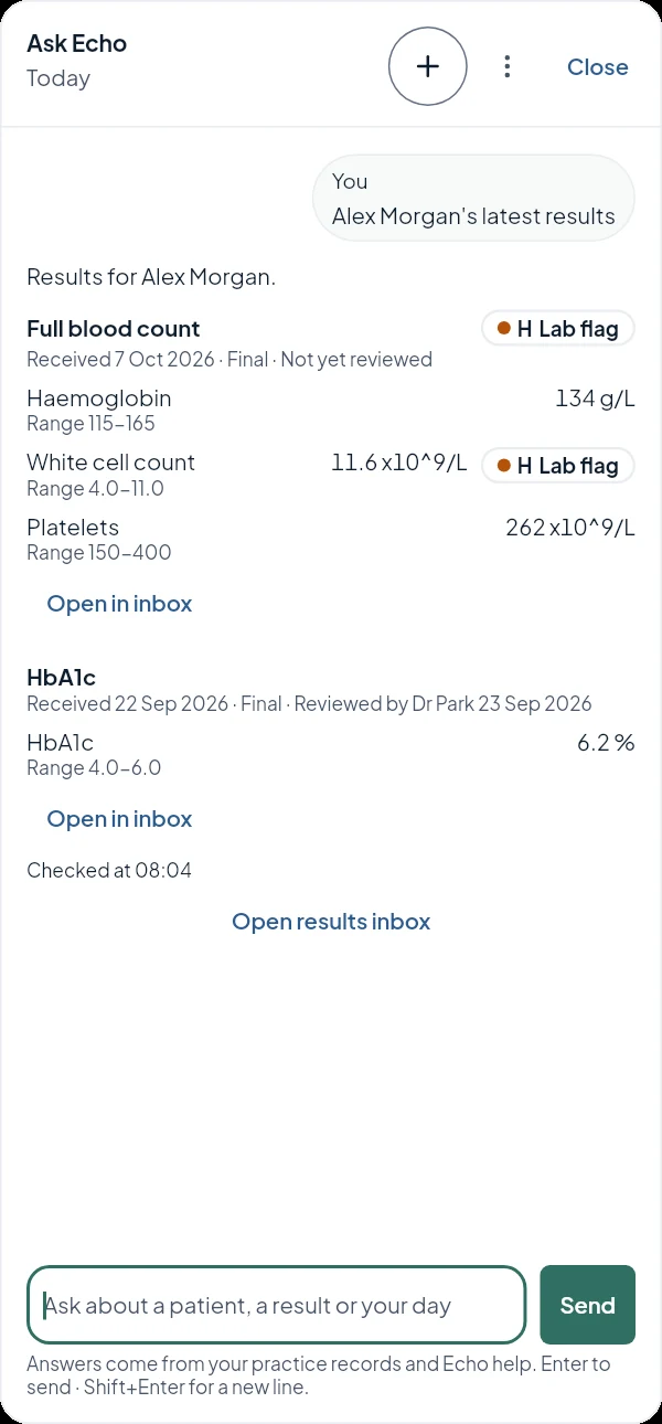 Ask Echo showing a full blood count and an HbA1c with values, units, reference ranges, the laboratory's flags and review status.